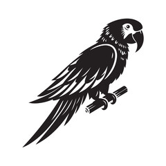 Parrot bird Silhouette Vector Illustration, Solid White Background.