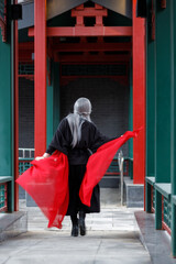 dance, costume, china, traditional, woman, arts, asia, asian, asiatic, background, battle, beauty,...