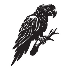Parrot bird Silhouette Vector Illustration, Solid White Background.