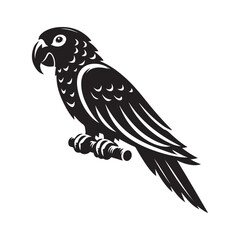 Parrot bird Silhouette Vector Illustration, Solid White Background.