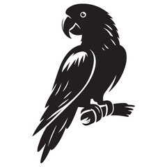 Parrot bird Silhouette Vector Illustration, Solid White Background.