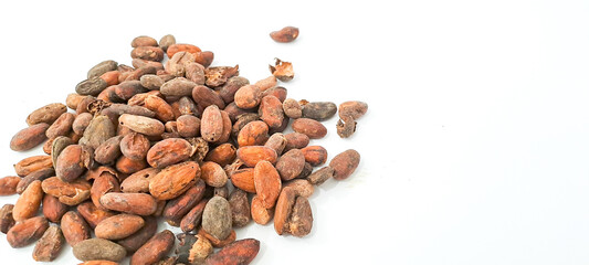 unpeeled cocoa bean isolated on white background	
