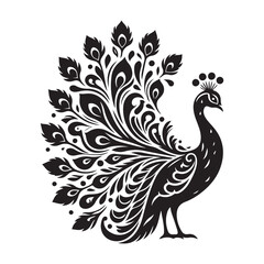 Peacock bird Silhouette Vector Illustration, Solid White Background.