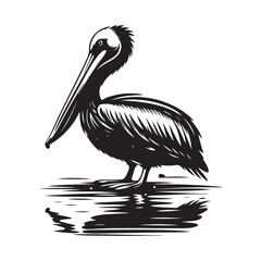 Pelican bird Silhouette Vector Illustration, Solid White Background.