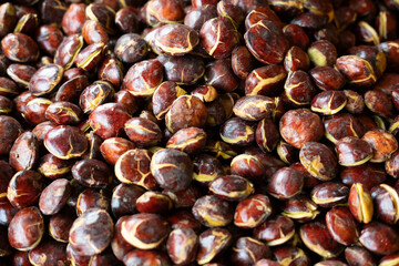 Sliced and peeled jengkol (dogfruit), displayed in a fresh arrangement, ready for consumption or cooking, showcasing its unique texture