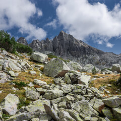 Mountain landscape near Valyavishki lakes. Pine shrubs on the steep stone slope against mount Dzhangal summit. Pirin national park, Bulgaria.