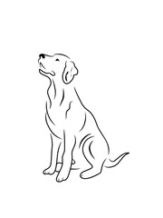 Vector silhouette of dog on black. dog logo design, dog icon design for any business, Cat or dog paw icon. Paw icon. pets design, animals,