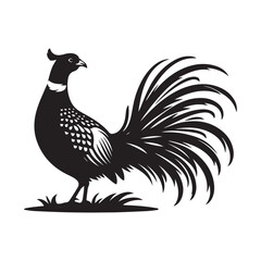 Pheasant bird Silhouette Vector Illustration, Solid White Background.