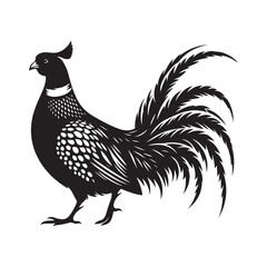 Pheasant bird Silhouette Vector Illustration, Solid White Background.