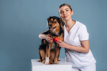 Professional cardiologist, small heart. Woman veterinarian is with mixed-breed dog