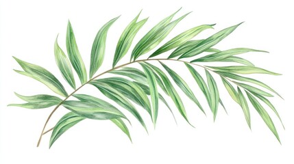 Naklejka premium Tropical Palm Leaf Illustration