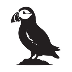 Puffin bird Silhouette Vector Illustration, Solid White Background.