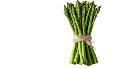 Freshly harvested asparagus bundled with natural twine, ready for culinary delights