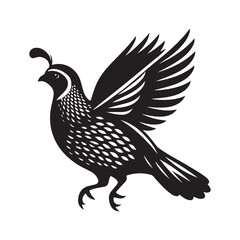 Quail bird Silhouette Vector Illustration, Solid White Background.
