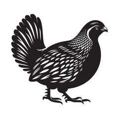 Quail bird Silhouette Vector Illustration, Solid White Background.