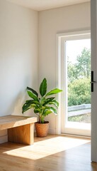 A sunny room with white walls and floors, featuring a bench and plant.