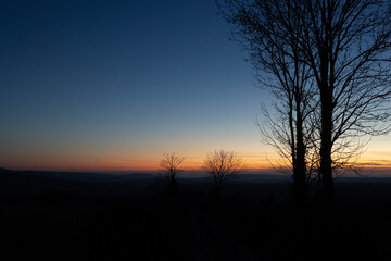 sunset in the forest