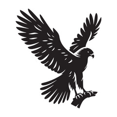 Red-tailed Hawk bird Silhouette Vector Illustration, Solid White Background.