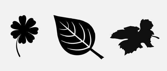 Leaf icons set, tropical leaves set, palm leaves silhouettes isolated, green leafs, environment and nature eco sign