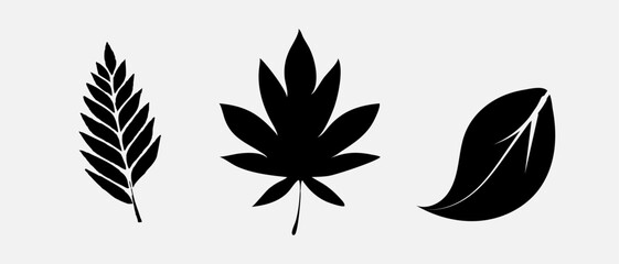 Leaf icons set, tropical leaves set, palm leaves silhouettes isolated, green leafs, environment and nature eco sign