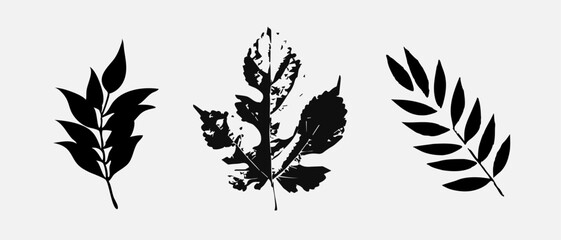 Leaf icons set, tropical leaves set, palm leaves silhouettes isolated, green leafs, environment and nature eco sign