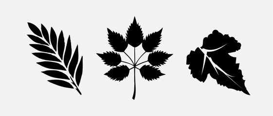 Leaf icons set, tropical leaves set, palm leaves silhouettes isolated, green leafs, environment and nature eco sign