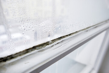 Mold and condensation on windows in close-up