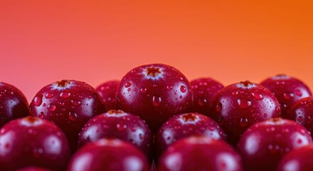 Fresh cranberries with water droplets on vibrant orange background