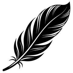 Fototapeta premium Download Feather Silhouette Vector – High-Quality.