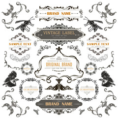 Set of Vintage Decorations Flourishes Elements. 