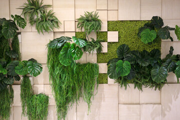 Wall in modern interior with vertical garden