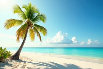 Single palm tree on sandy beach, soft light illuminates , sunset, holiday