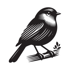 Robin bird Silhouette Vector Illustration, Solid White Background.