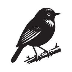 Robin bird Silhouette Vector Illustration, Solid White Background.
