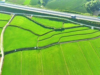 농촌의 논과 밭 풍경