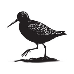 Sandpiper bird Silhouette Vector Illustration, Solid White Background.
