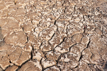 Parched Earth Cracking Under Intense Heat and Drought