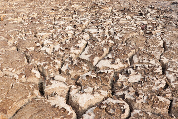 Severely Cracked Earth Depicting Extreme Drought Conditions