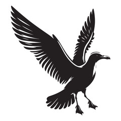 Seagull bird Silhouette Vector Illustration, Solid White Background.