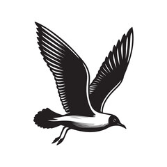 Seagull bird Silhouette Vector Illustration, Solid White Background.