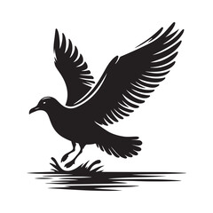 Seagull bird Silhouette Vector Illustration, Solid White Background.