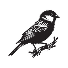 Sparrow bird Silhouette Vector Illustration, Solid White Background.