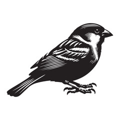Sparrow bird Silhouette Vector Illustration, Solid White Background.