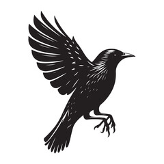 Starling bird Silhouette Vector Illustration, Solid White Background.