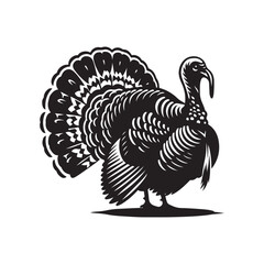 Turkey bird Silhouette Vector Illustration, Solid White Background.