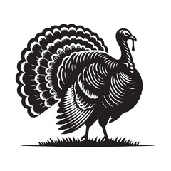 Turkey bird Silhouette Vector Illustration, Solid White Background.