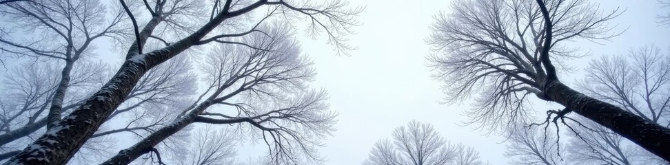 Obraz premium Tree's branches stretched up towards the grey sky, serenity now, bare limbs, snowcovered trees