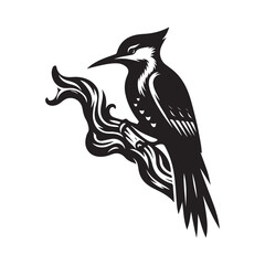 Woodpecker bird Silhouette Vector Illustration, Solid White Background.