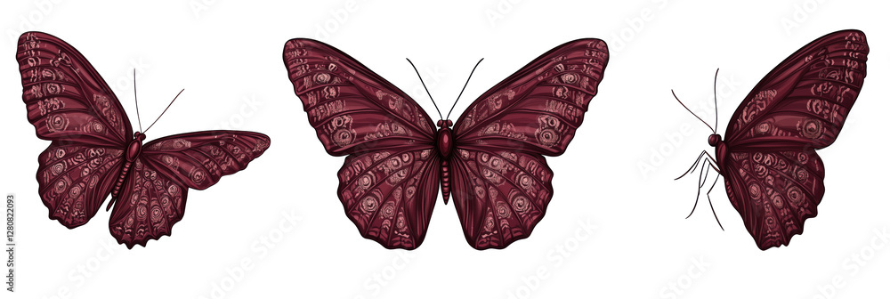 Poster intricate red butterflies with detailed patterns and designs, showcasing three distinct poses and st