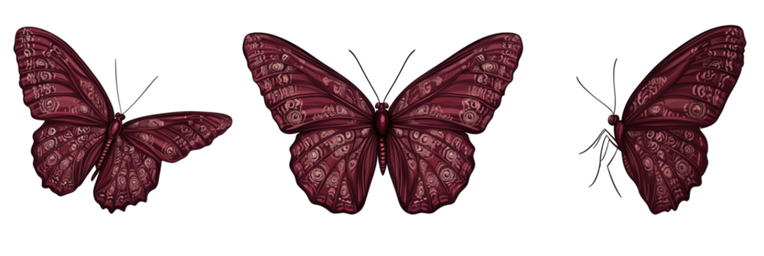 Intricate Red Butterflies with Detailed Patterns and Designs, Showcasing Three Distinct Poses and Styles, isolated on transparent background, png